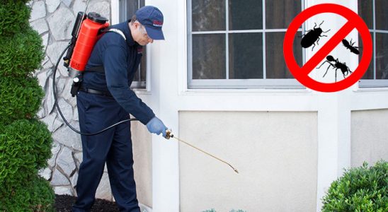 Yenice Gümüşkurt İlaçlama böcek ilaçlama ve haşere kontrolü — ilaclama-tr.com